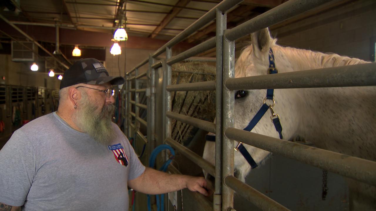 equine therapy.jpg