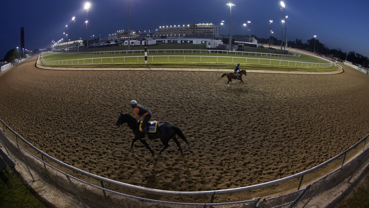 Horses at Churchill Downs