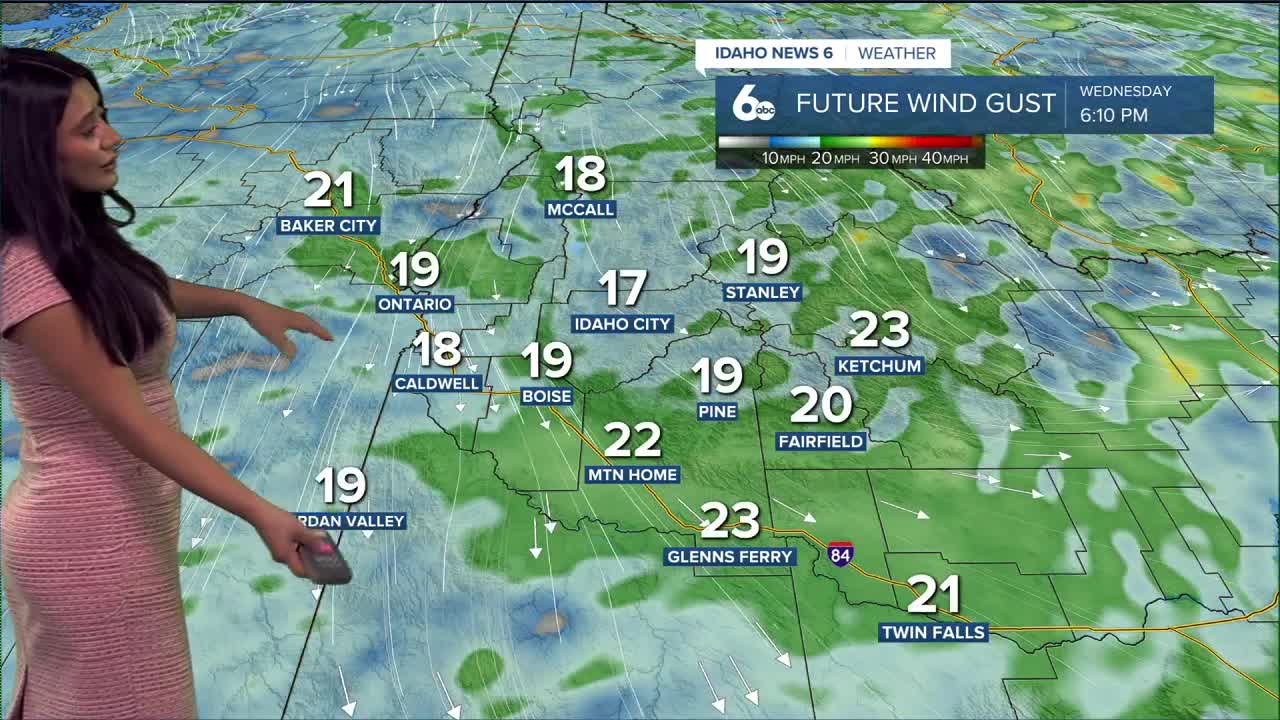 Forecast