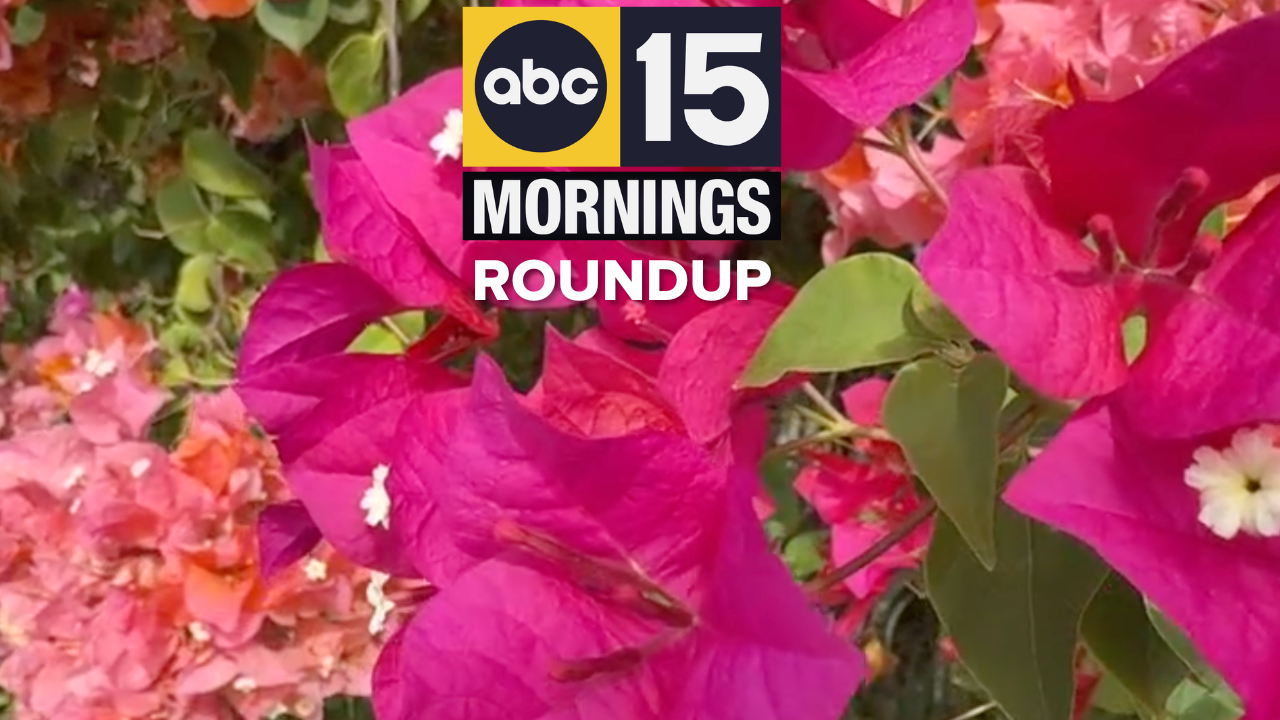 YOUR A.M. NEWS BRIEFING.png