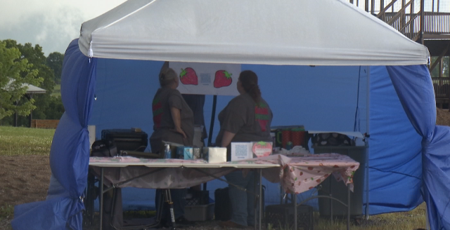 Strawberry Festival at Stepping Stone Farm draws crowd with food, music and young creators