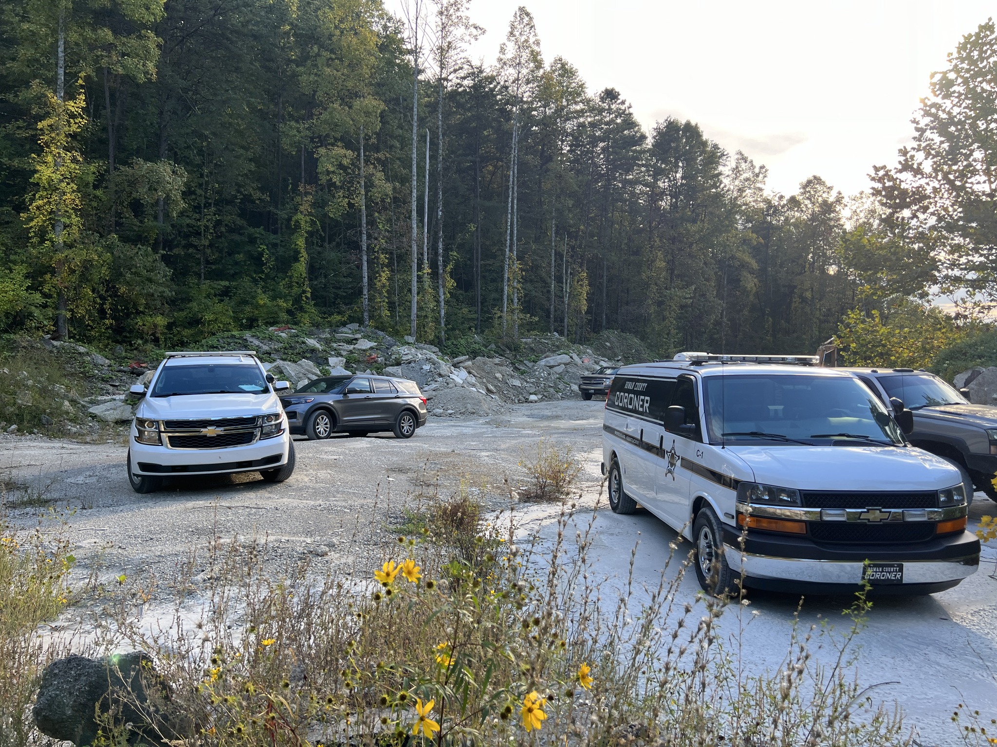 Skeletal remains found