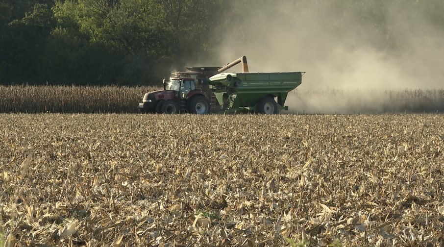 Harvest near Silver Lake, Kansas
