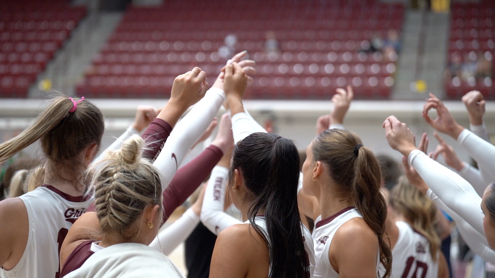 GRIZ VB.jpg
