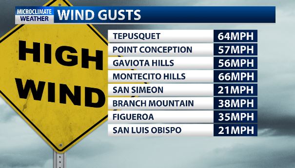 WIND GUSTS 1051.JPG