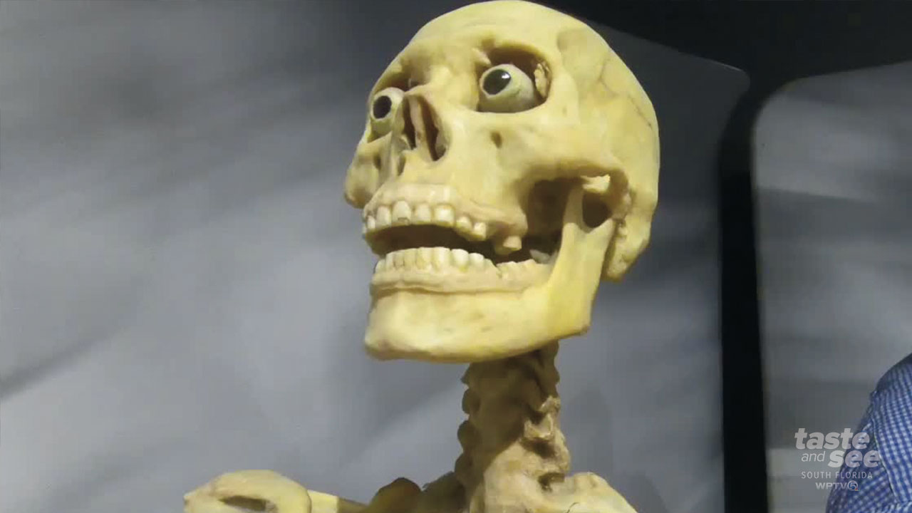 Real Bodies: The Exhibition