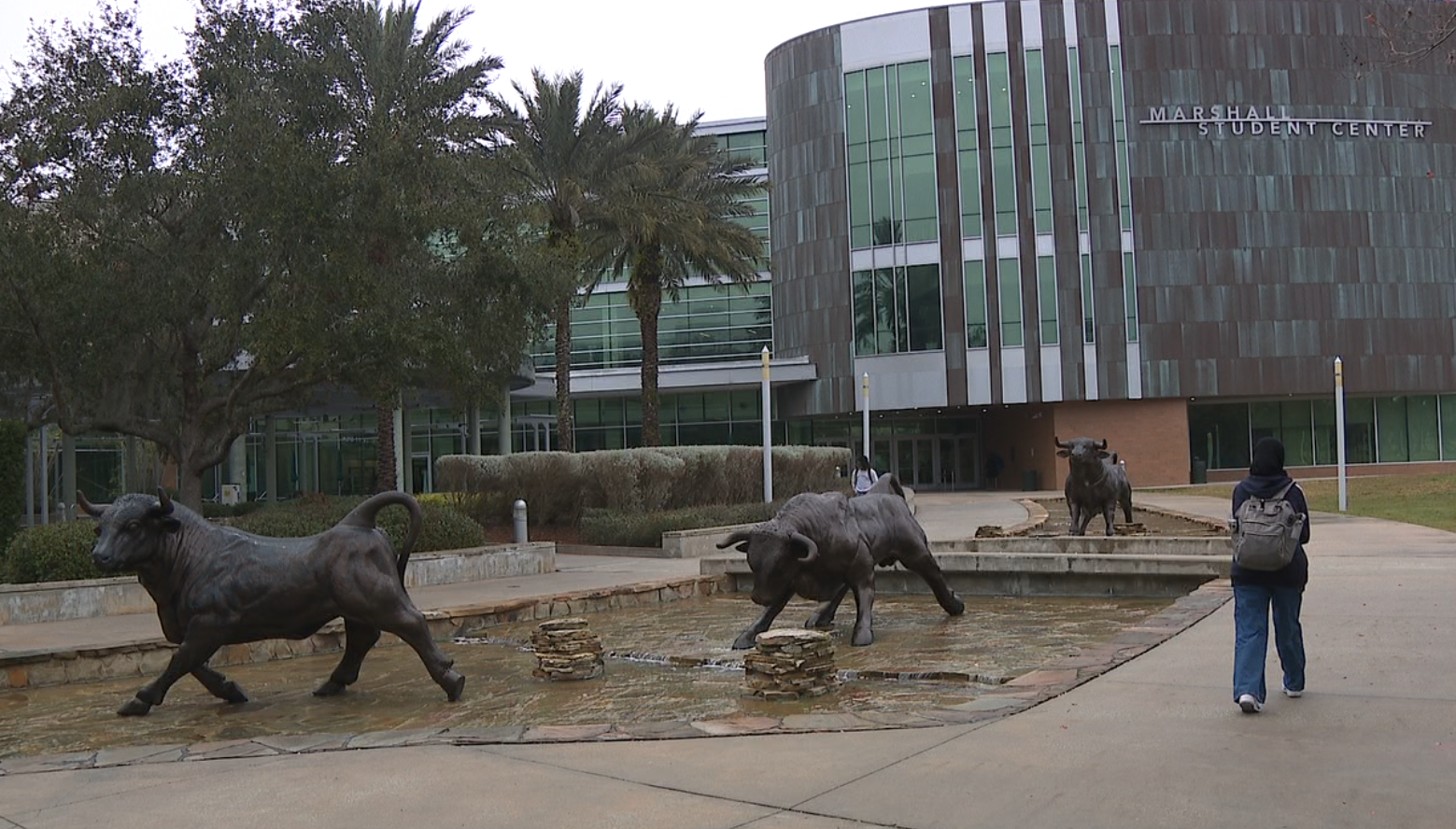 USF Bulls Family Fest 