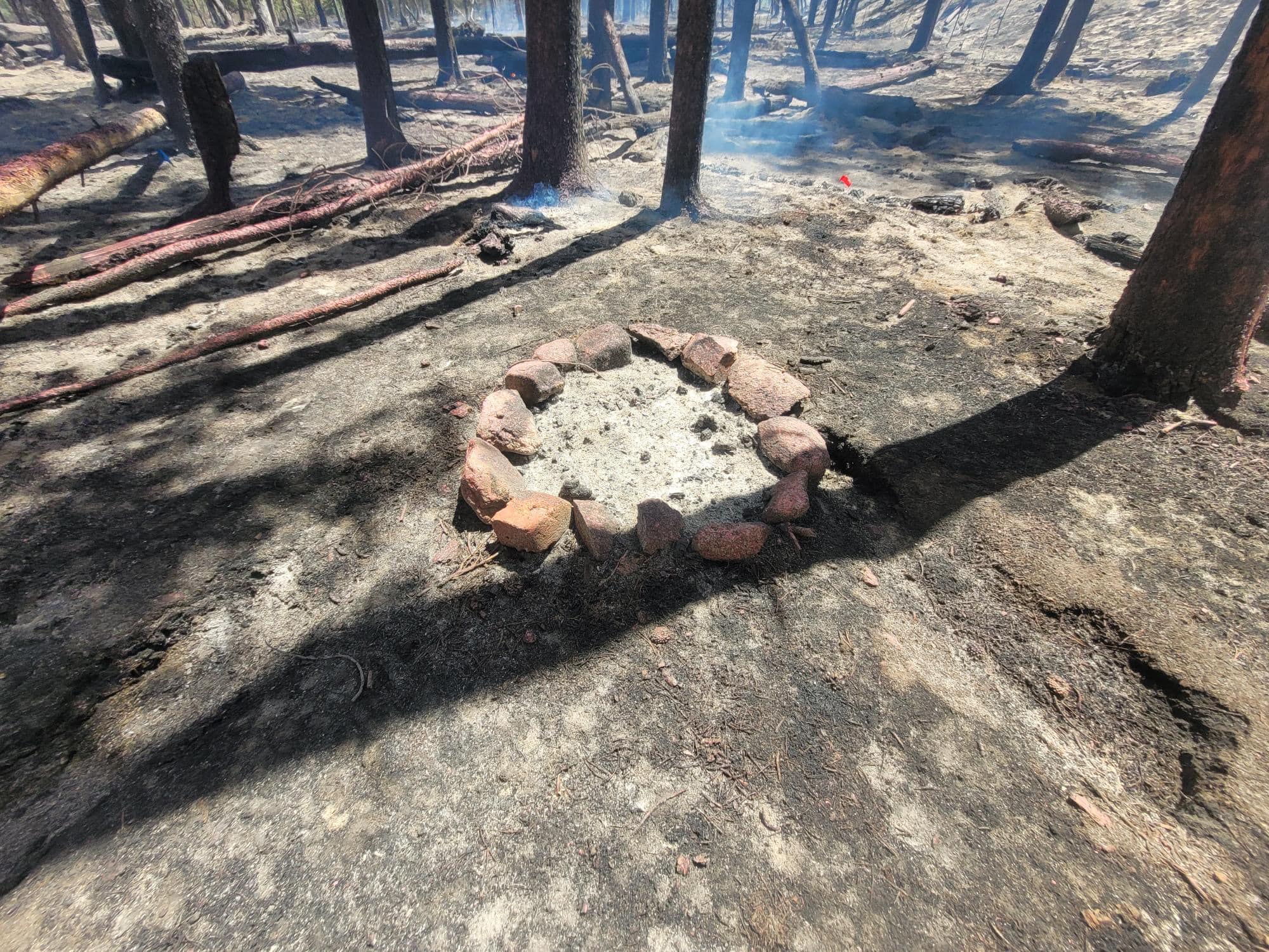 Abandoned campfire sparked wildfire burning near Twin Lakes, USFS determines