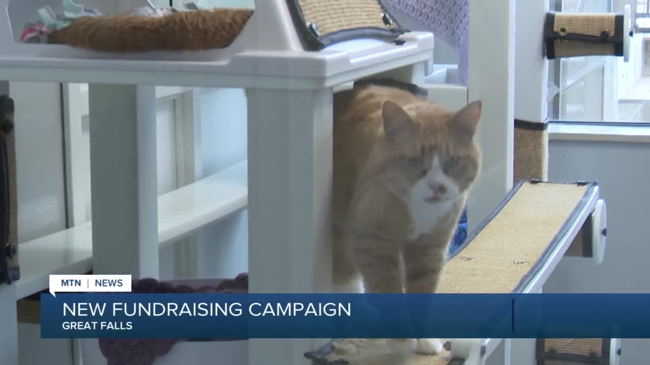 Maclean-Cameron Animal Adoption Center in Great Falls