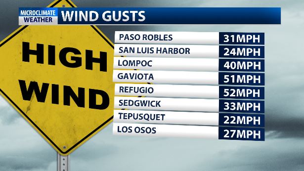 WIND GUSTS 22.JPG