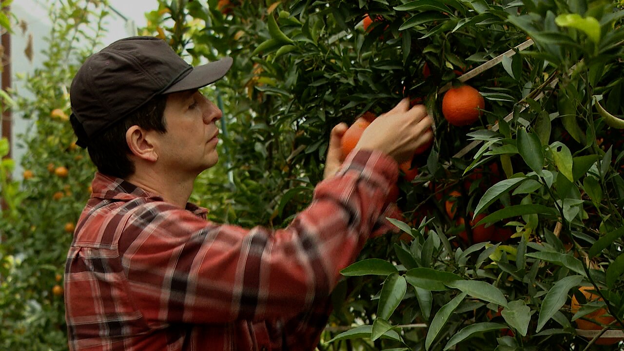 Cold weather impacting farmers 
