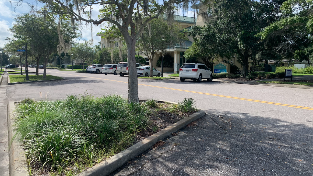 downtown oldsmar.png