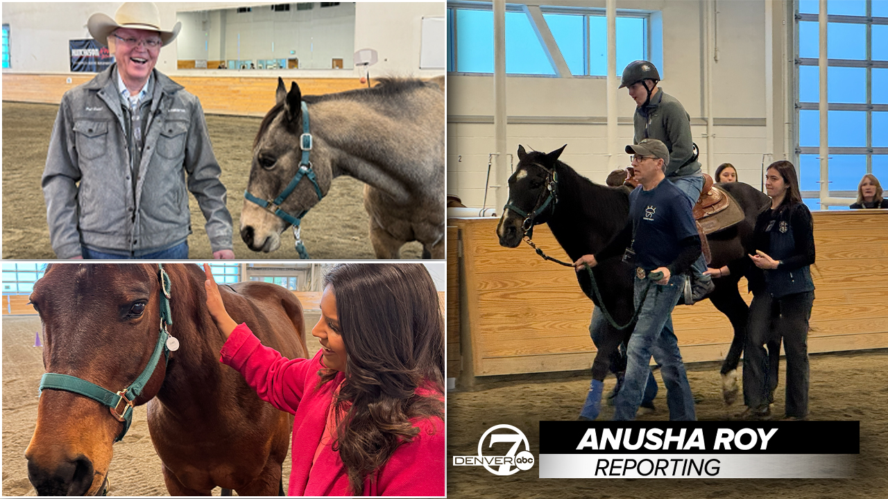 anusha equine therapy.jpg