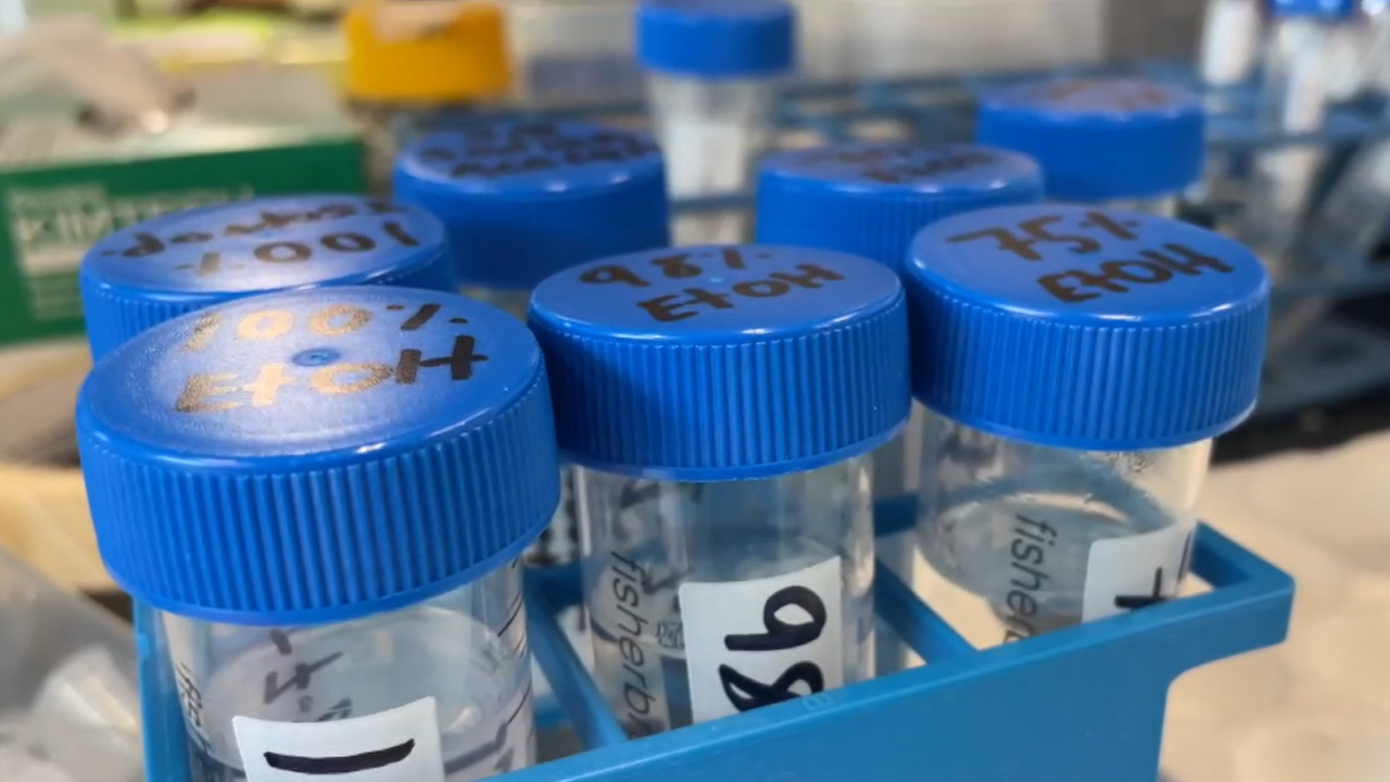 Florida Atlantic University researchers test for COVID-19 using saliva.jpg