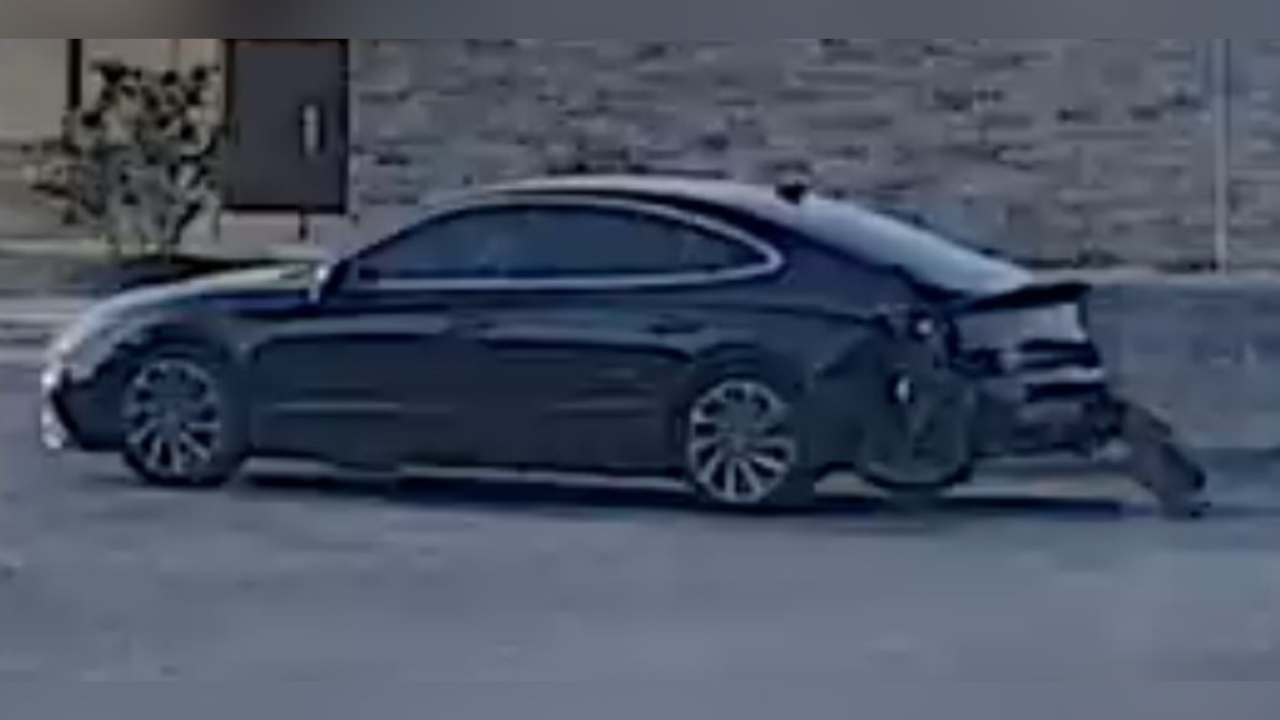 tarpon springs hit and run