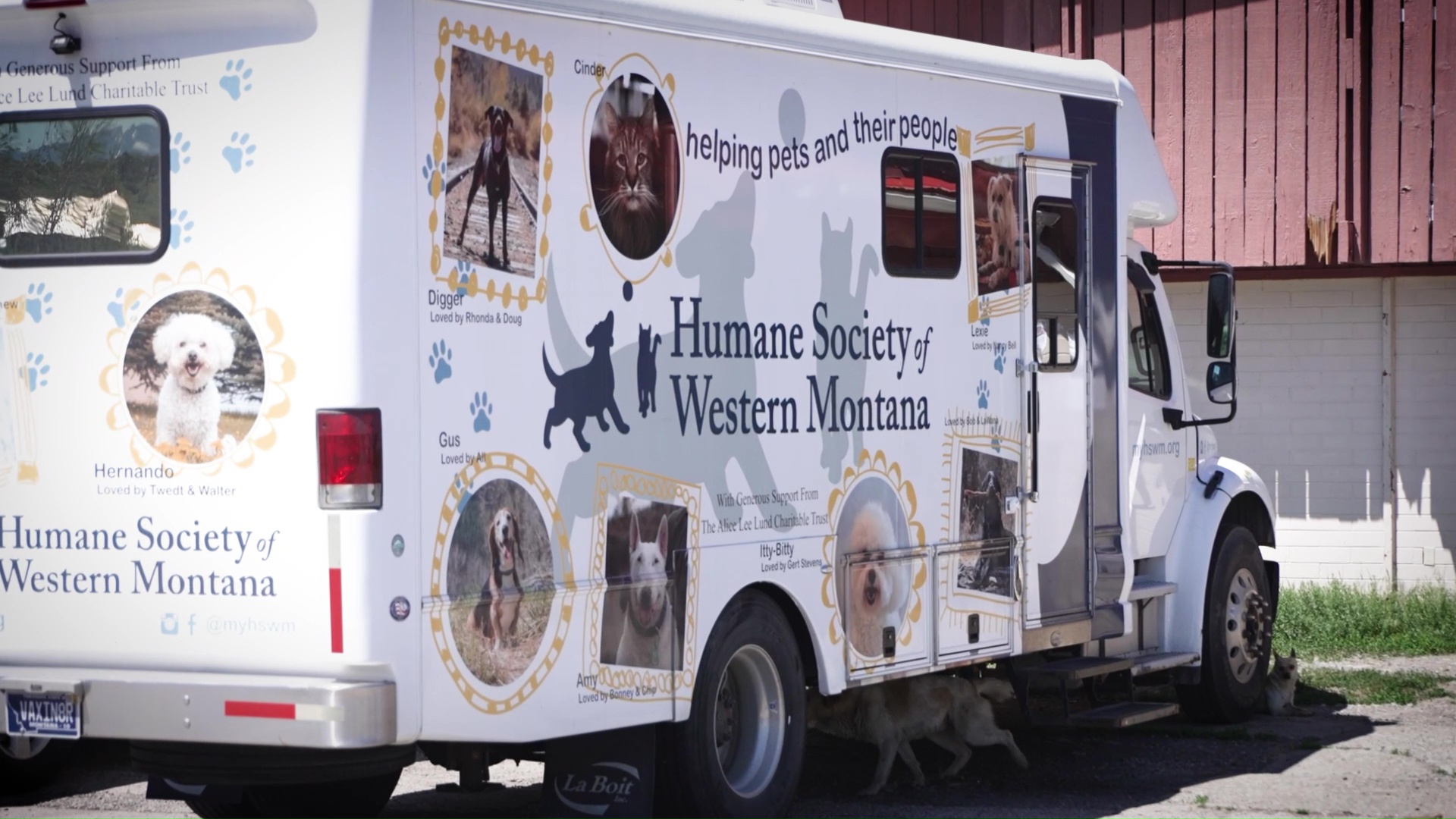 Veterinary clinics coming to Blackfeet Nation to expand access to animal care