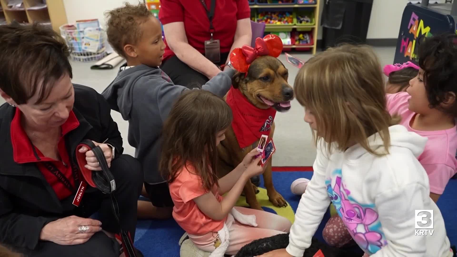 Wanted: volunteers with friendly dogs