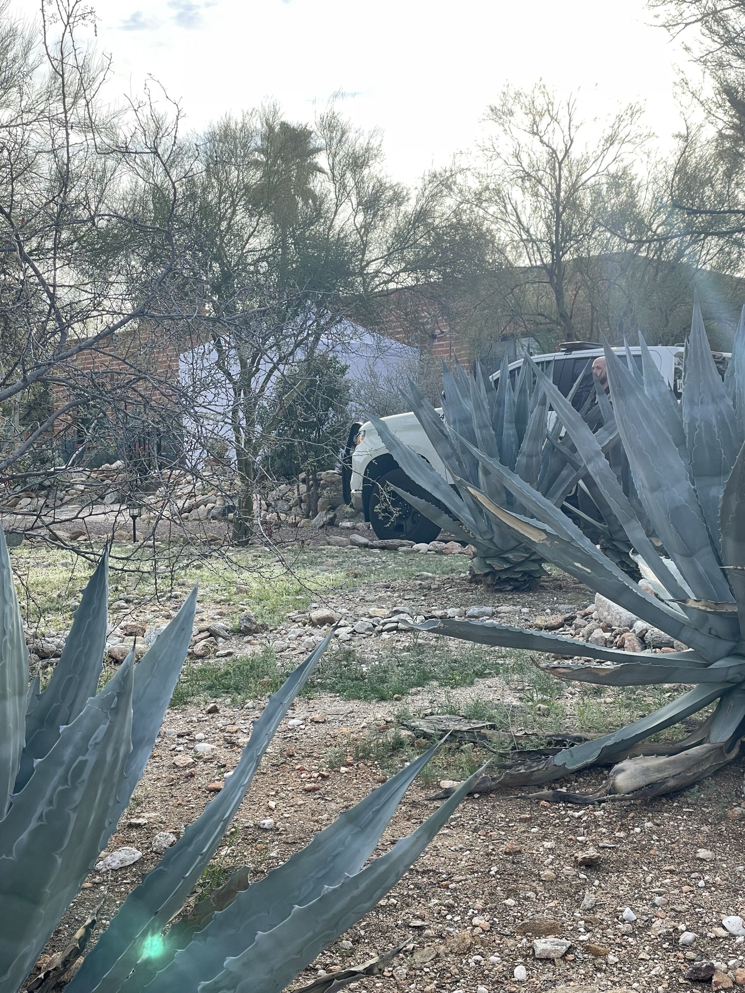 Tent outside Nancy Guthrie home.jpg