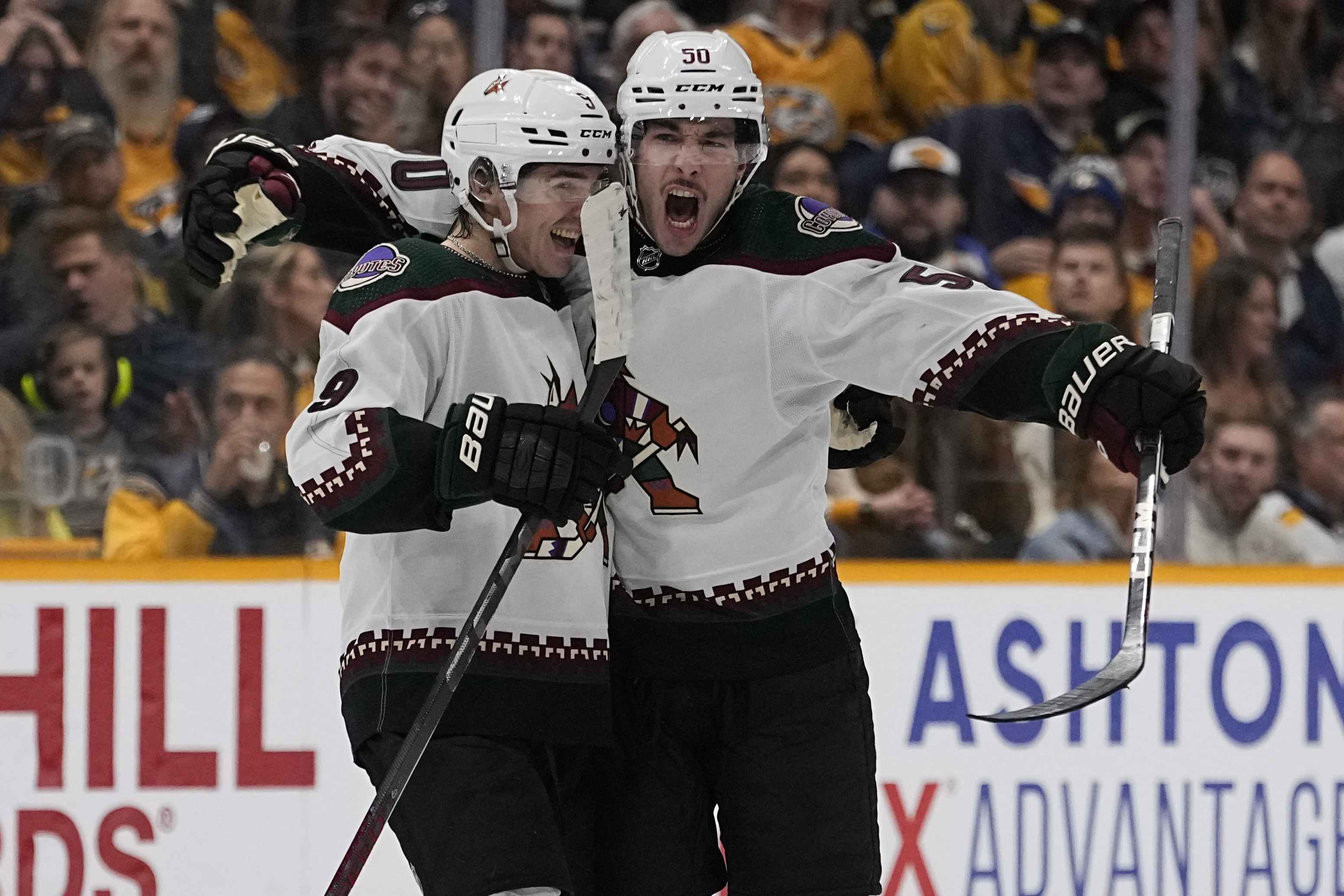 Coyotes Predators Hockey