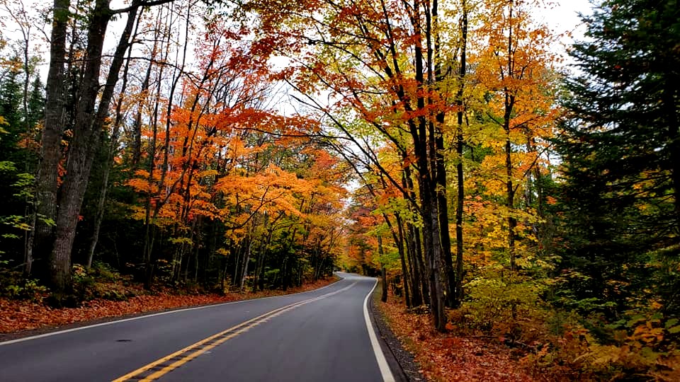 Michigan fall foliage