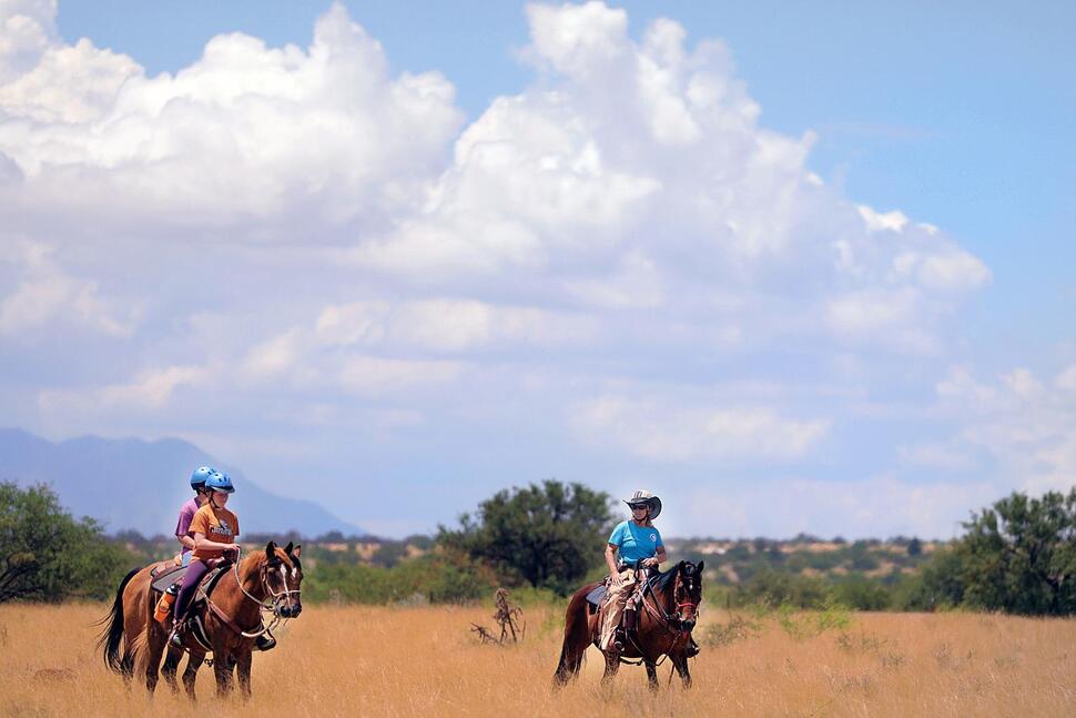  Horse'n Around Rescue Ranch and Foundation