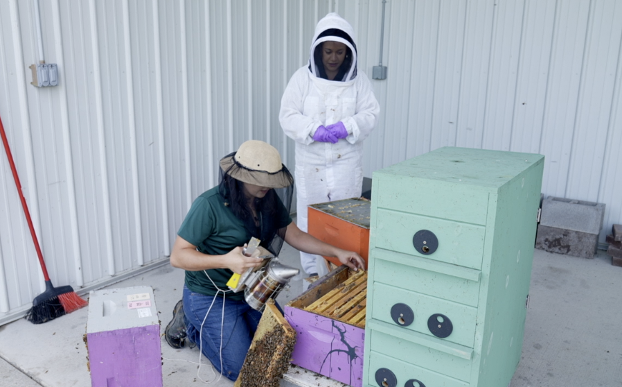 MSU Pollinator Performance Center