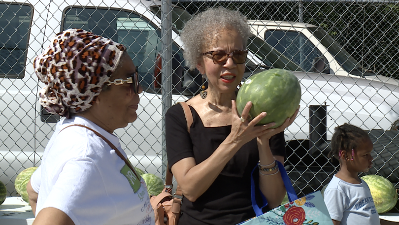 Nearly 400 watermelons distributed at Ivanhoe neighborhood festival amid rising food costs