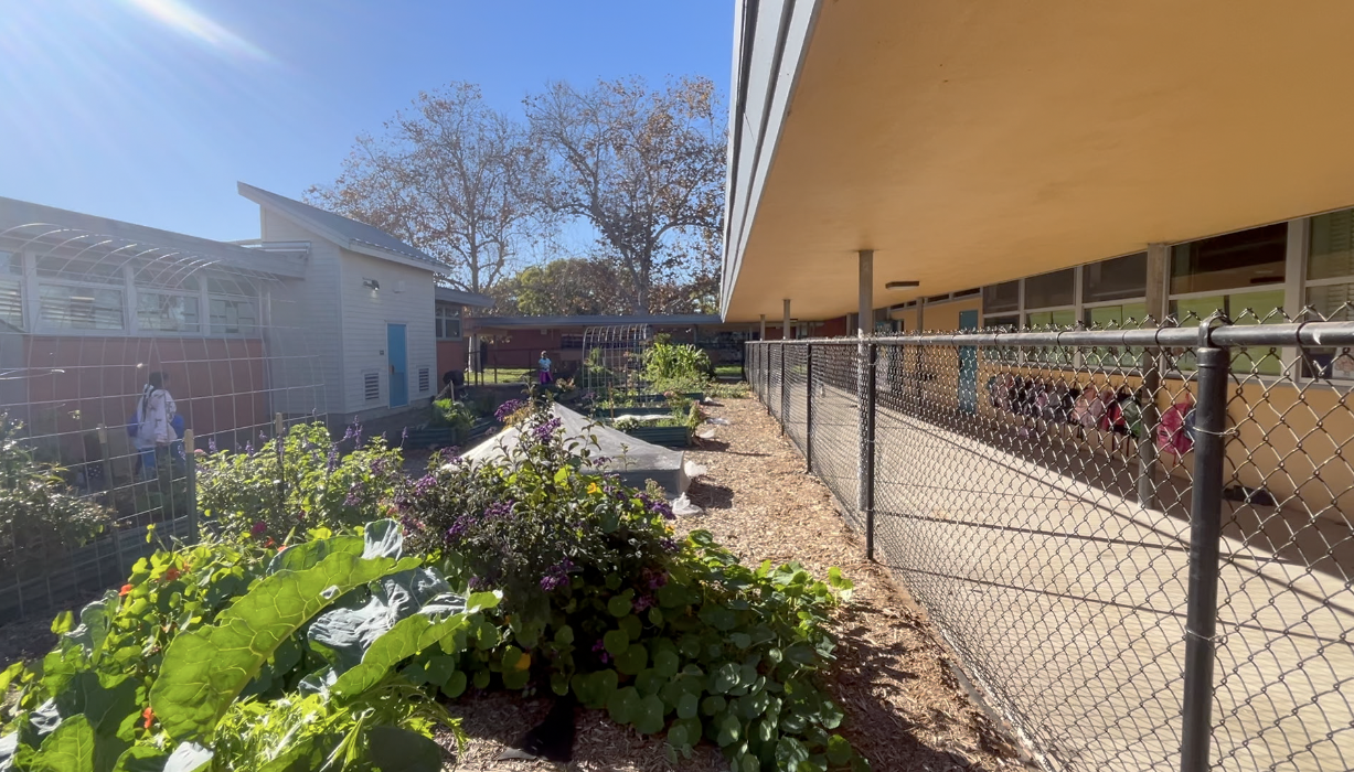 The Chollas-Mead Elementary Garden. 