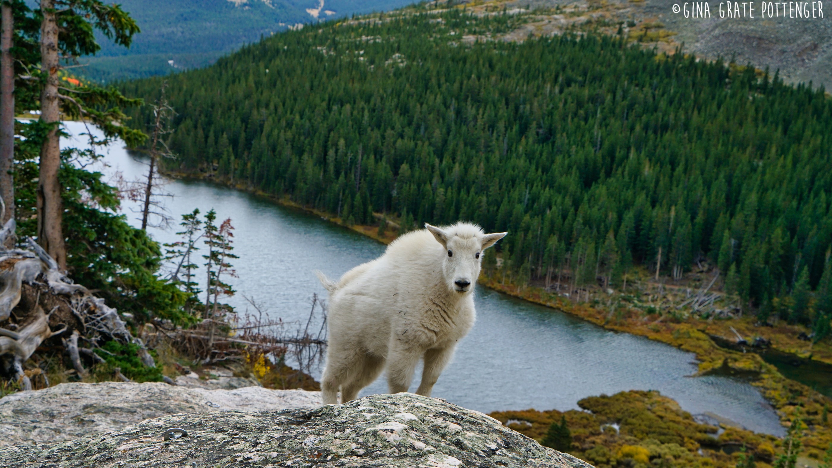 Gina Pottenger near Hoosier Pass