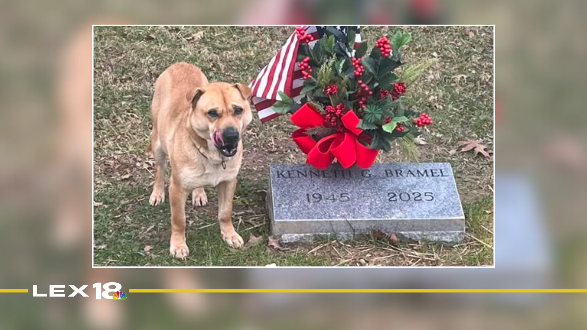 Featured Image Custom Edit (6).png