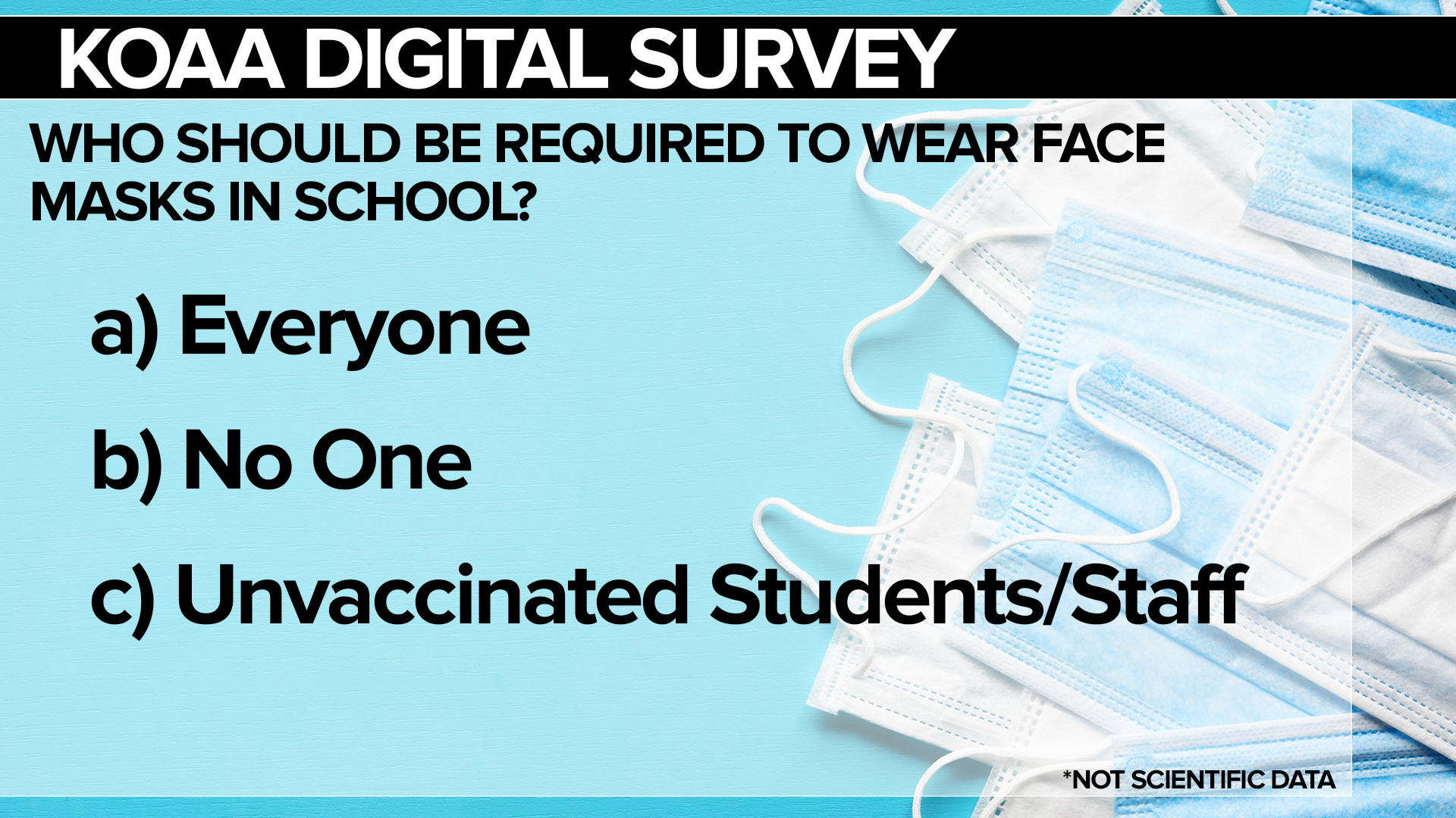 SURVEY Masks FSG.jpg
