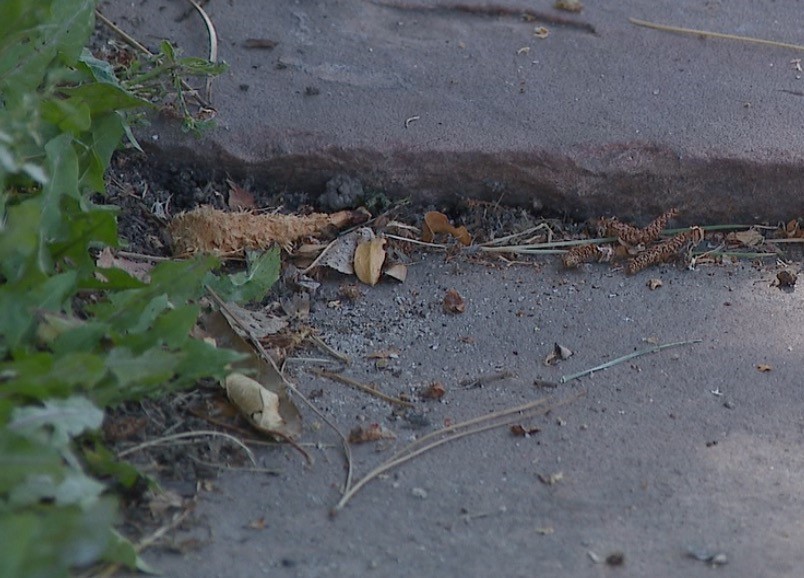 SIDEWALK.jpg