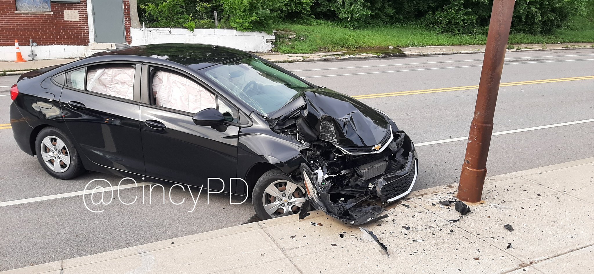 Cicada Crash.jpg