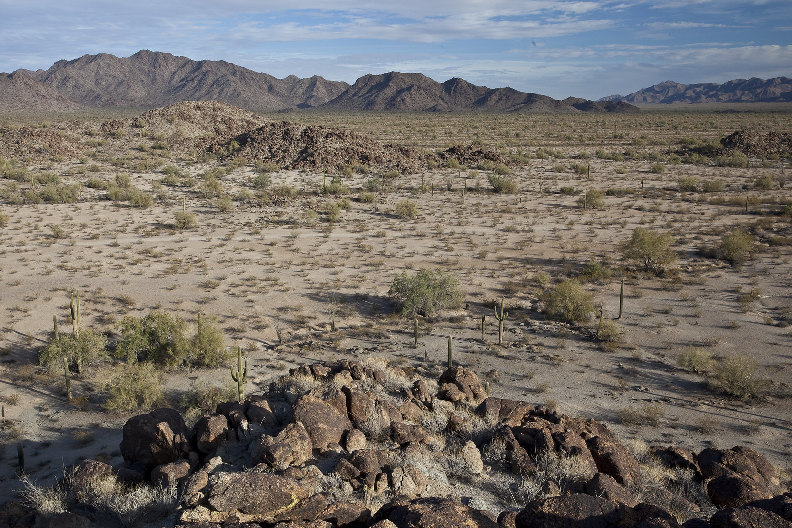 Arizonas Sonoran Desert Monument.jpg