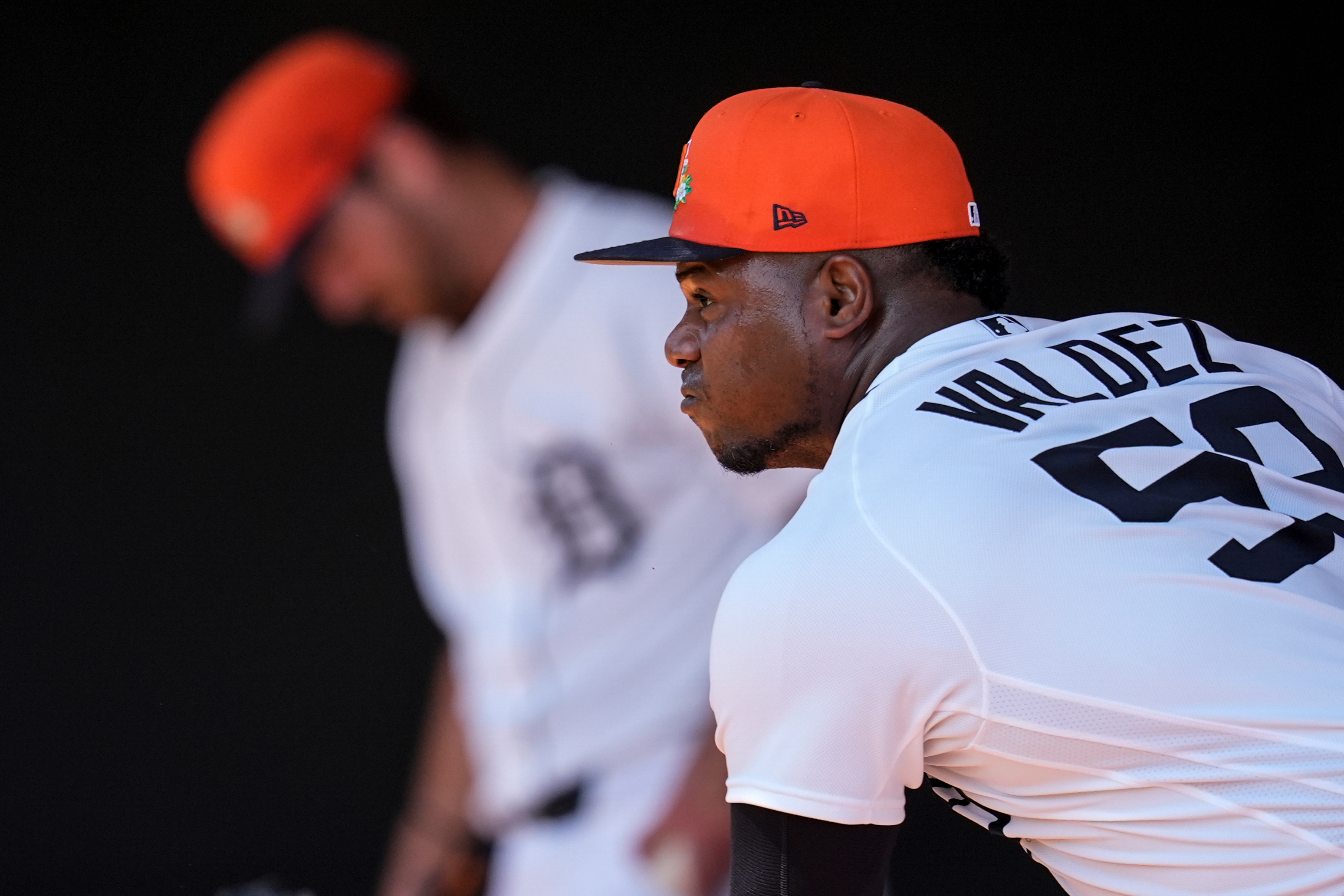 Tigers Spring Baseball