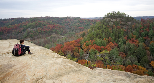 Blick über Red River Gorge