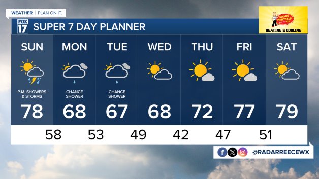 7 DAY FORECAST
