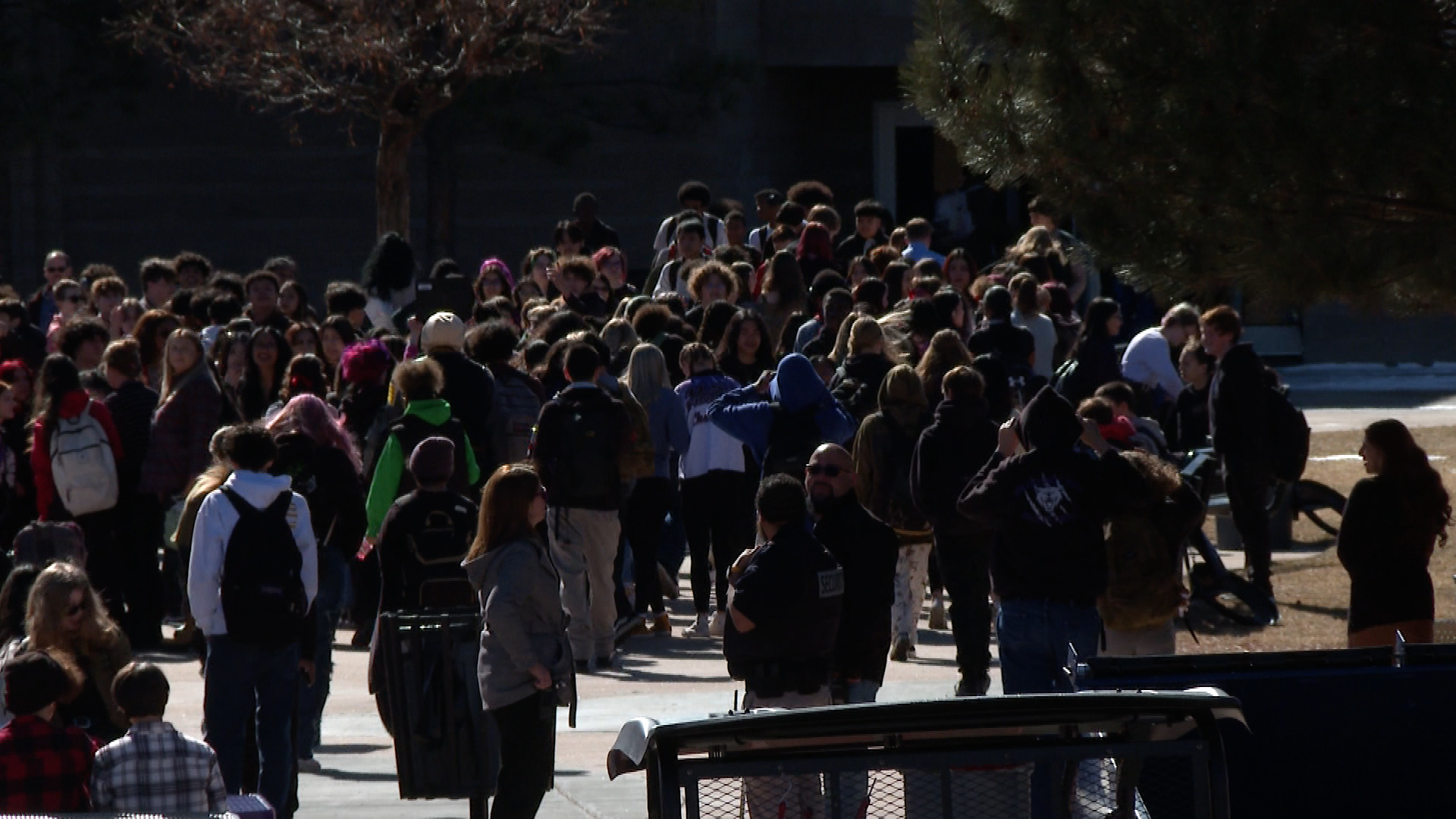 D3 Walkout