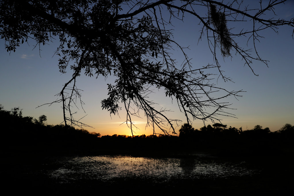 Santa Ana National Wildlife Refuge