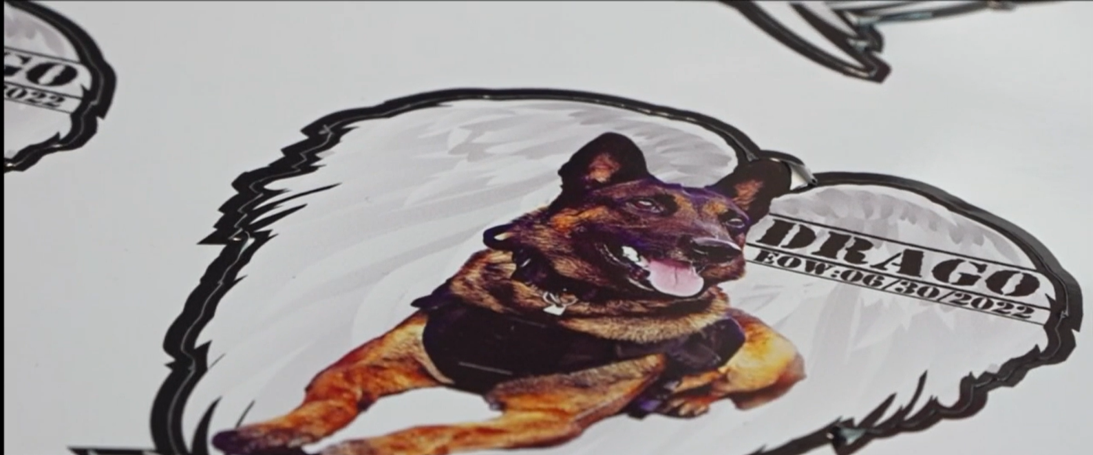 DRAGO.png