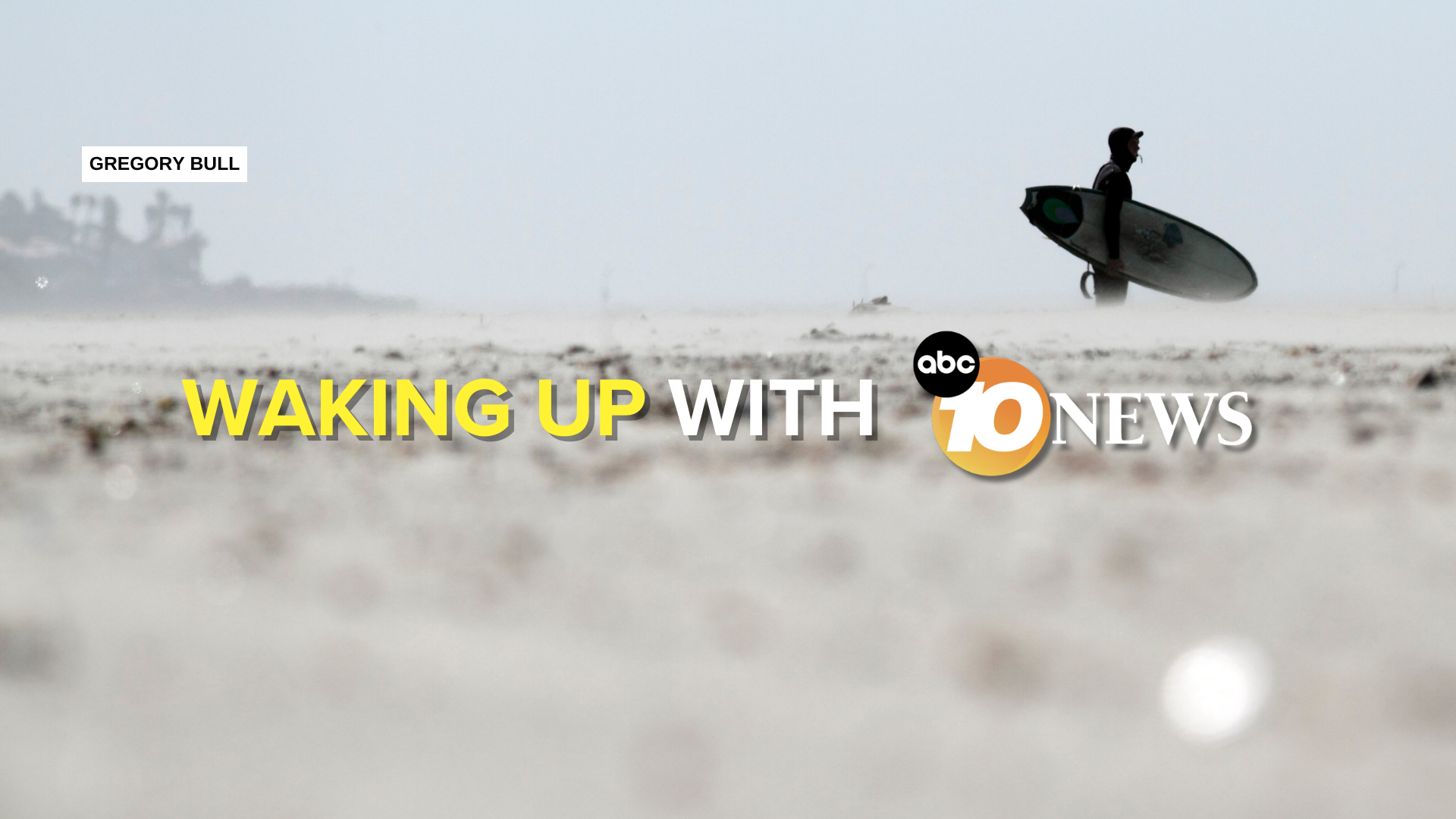 newsletter_beach_sand_bull_apphoto.png
