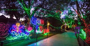 Zoo Lights 