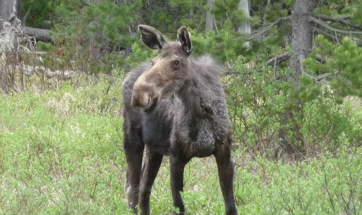 Screenshot 2025-08-06 133238.png