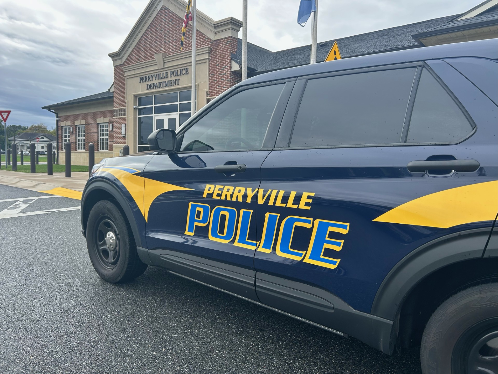 thumbnail_image0 (1).jpg