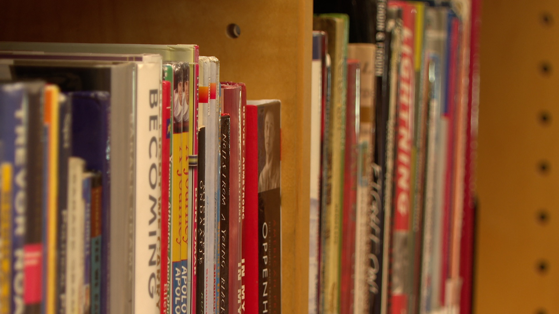Library Book