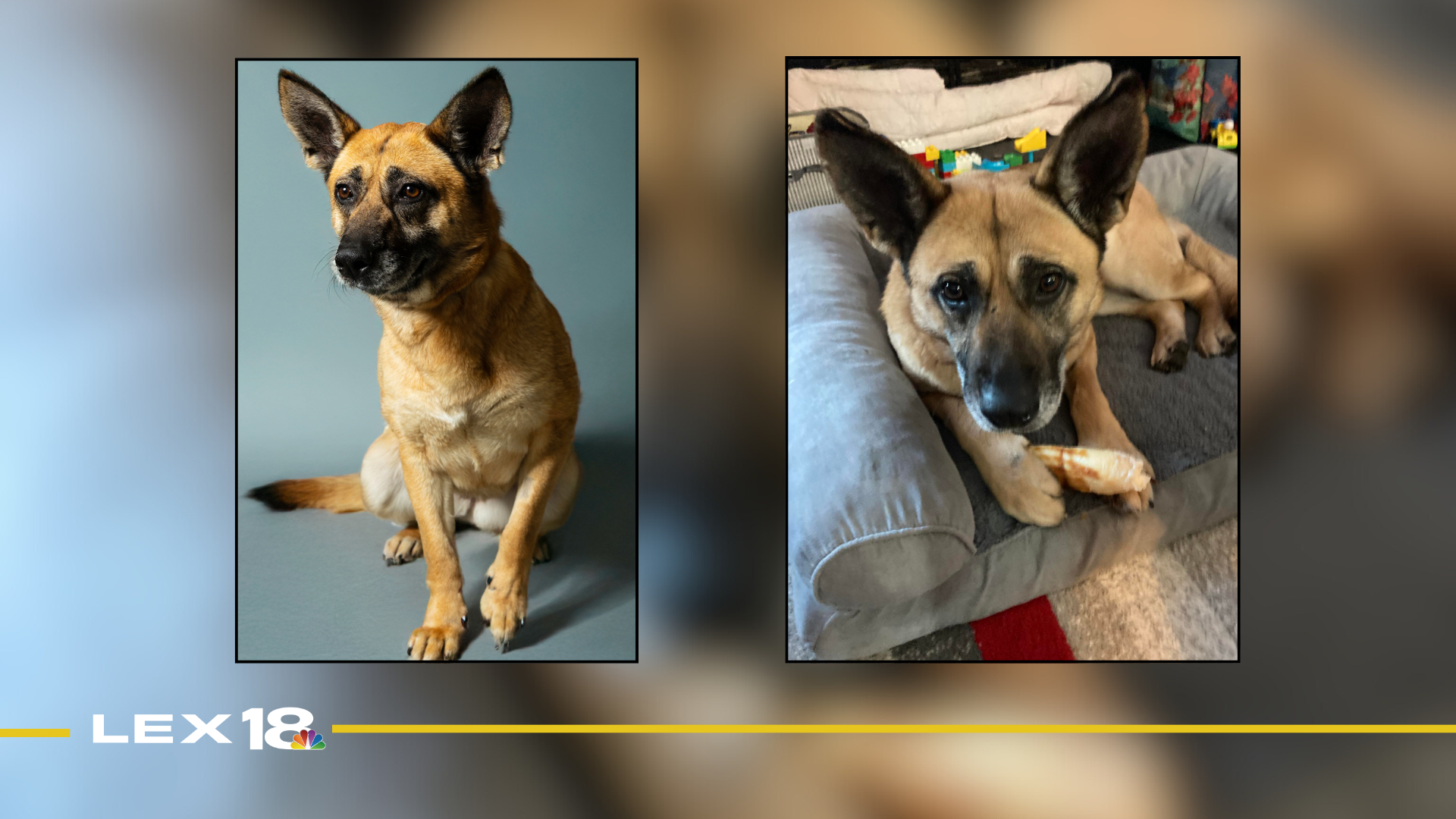 Featured Image Custom Edit.png