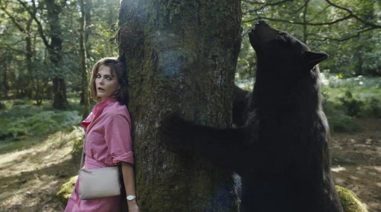 bear ap.PNG