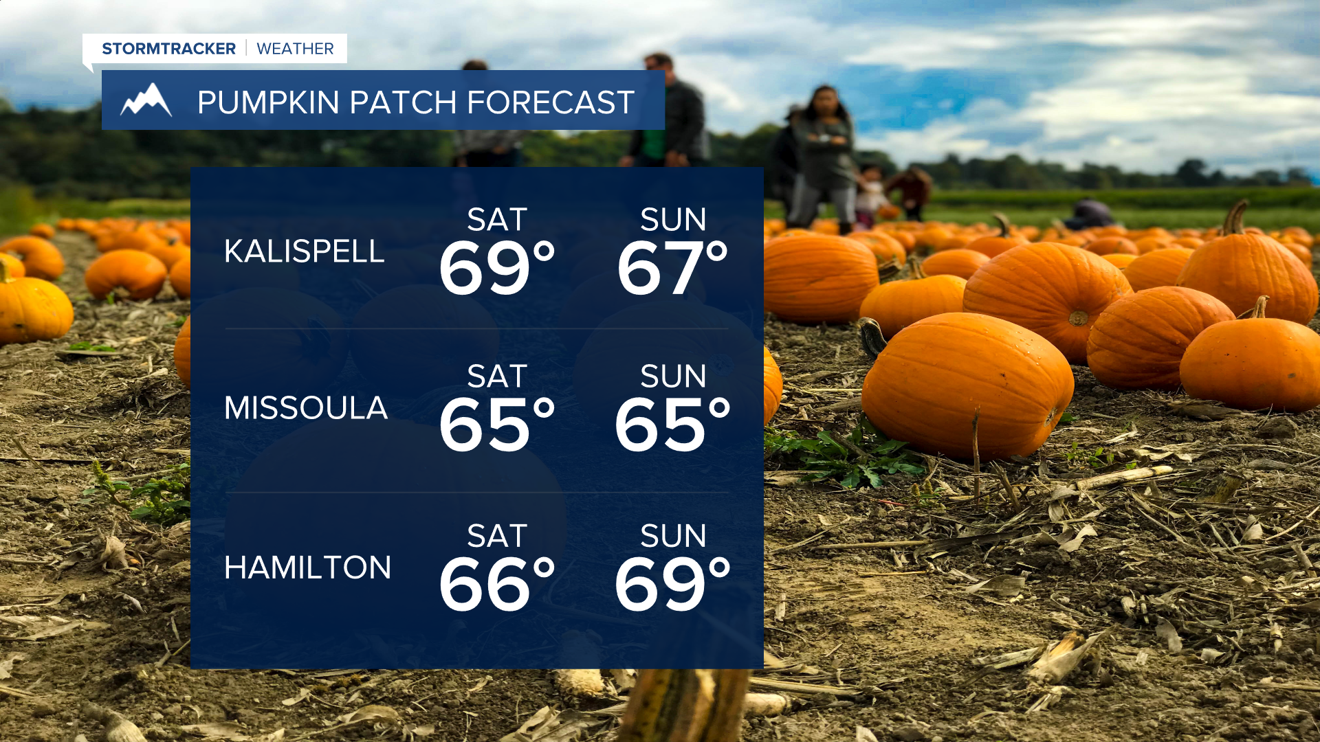 Pumpkin Patch Forecast