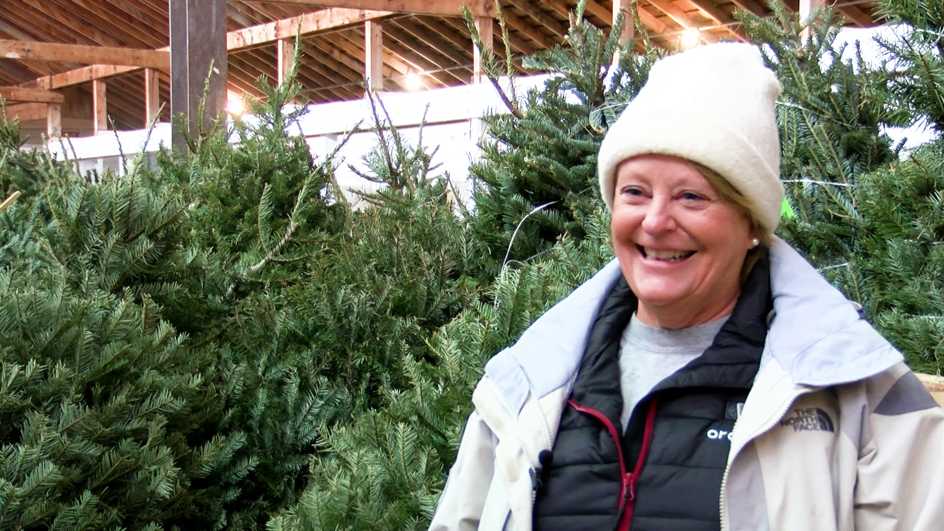 Uptown Optimists Christmas Tree sale at Montana ExpoPark