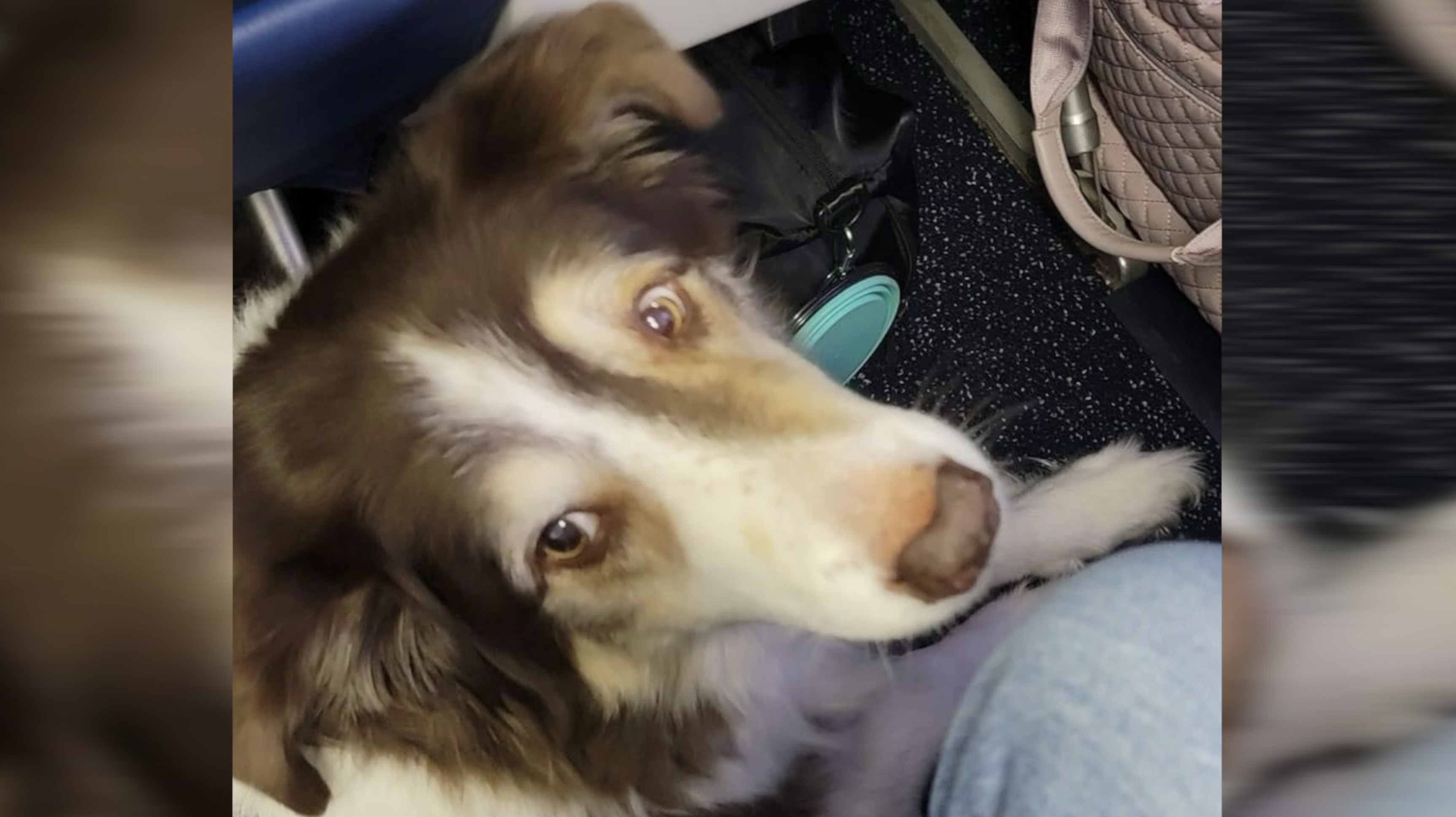 Screenshot 2024-07-30 at 9.26.57 PM.png